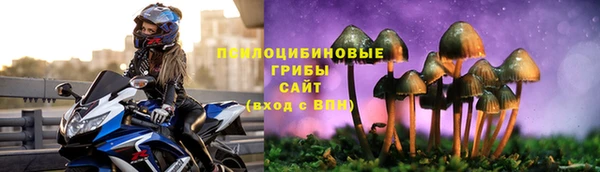 амф Алзамай