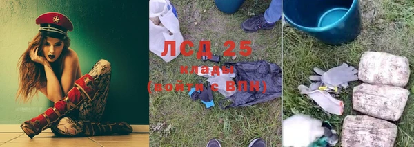 амф Алзамай